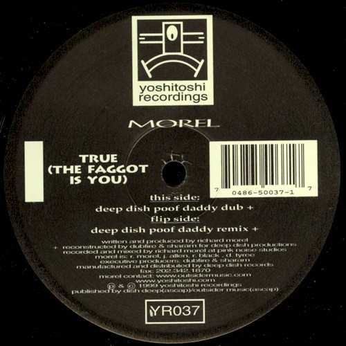 True (The Faggot Is You) by Morel