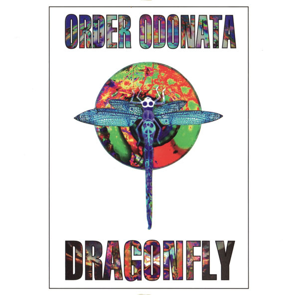 Order Odonata • Experiments That Identify Change.. by Various