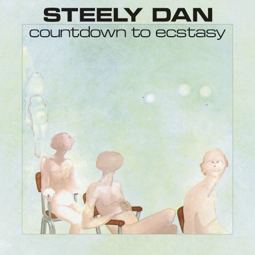 Steely Dan vinyl record cover artwork on VinVibe