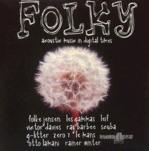 Folky Acoustic Music In Digital Times by Various