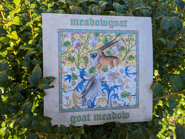 Goat Meadow by Meadowgoat