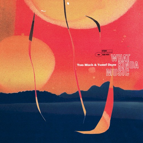 What Kinda Music by Tom Misch