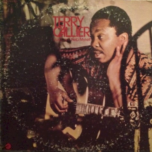 I Just Can't Help Myself by Terry Callier
