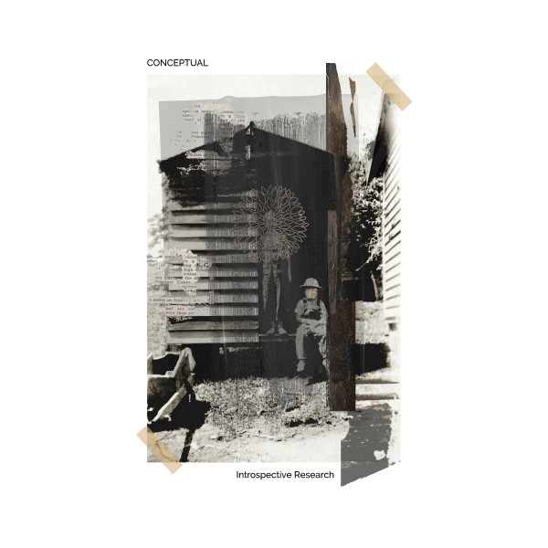 Introspective Research by Conceptual