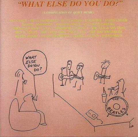 What Else Do You Do? (A Compilation Of Quiet Music) by Various