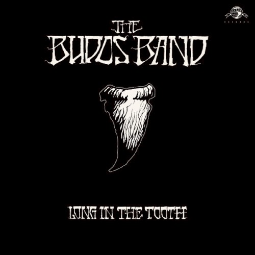 Long In The Tooth by The Budos Band
