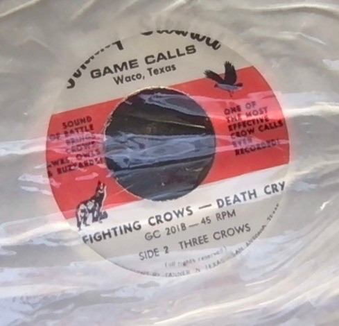Fighting Crows - Death Cry by Johnny Stewart