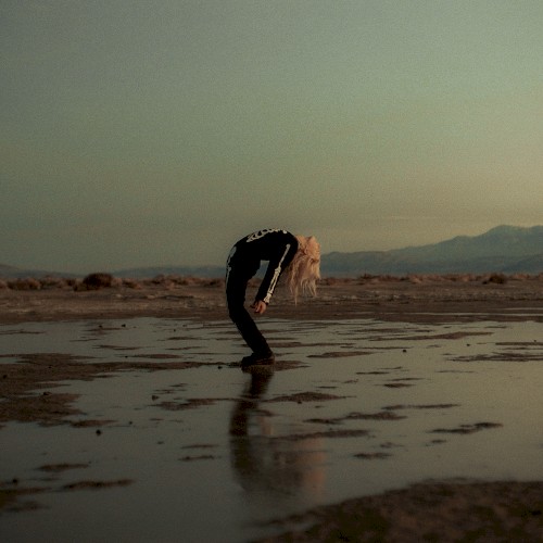 Copycat Killer by Phoebe Bridgers