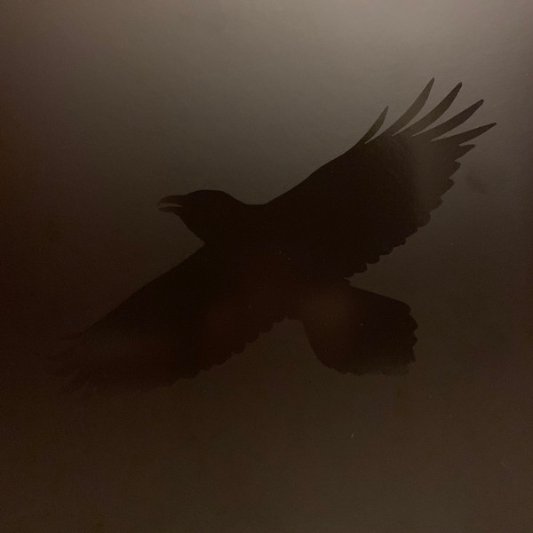 Odin's Raven Magic by Sigur Rós
