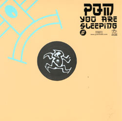 You Are Sleeping by Prince Quick Mix