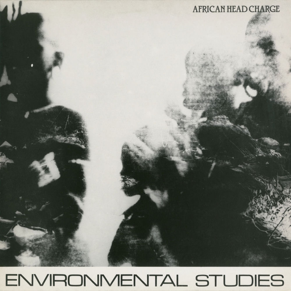 Environmental Studies by African Head Charge