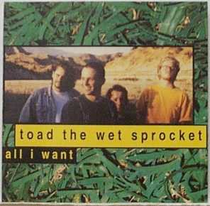 All I Want by Toad The Wet Sprocket