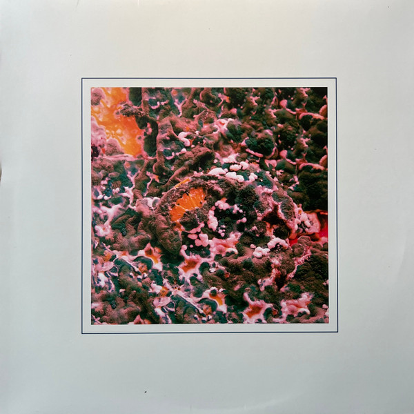 Sugar Blind / Deaf Heat by Marika Hackman