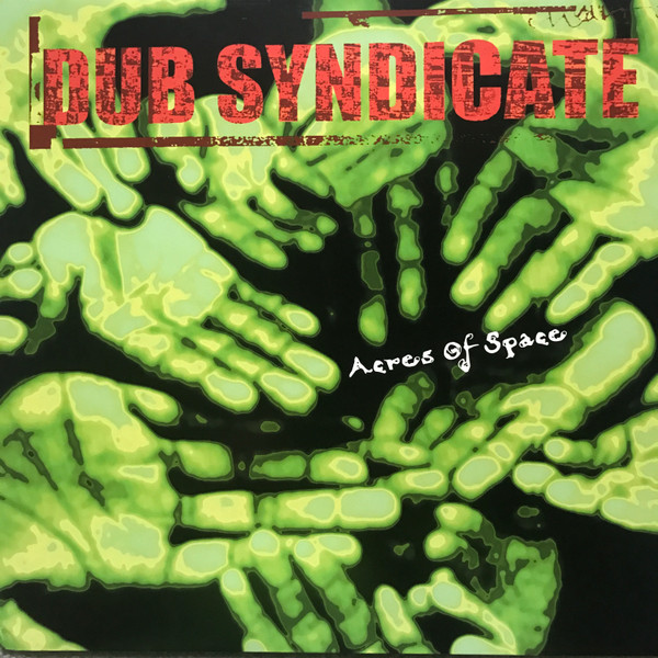 Acres Of Space by Dub Syndicate