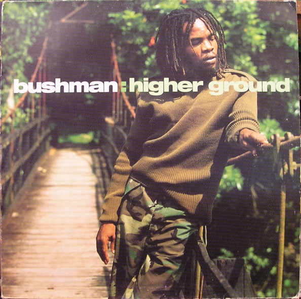 Higher Ground by Bushman