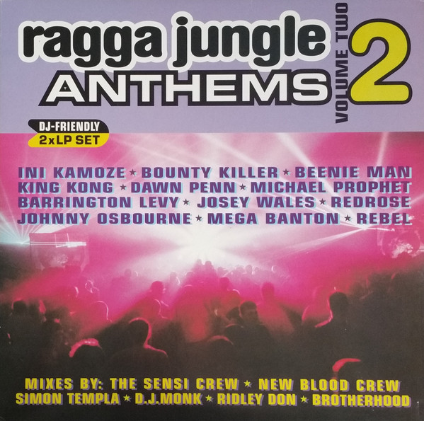 Ragga Jungle Anthems Volume 2 by Various