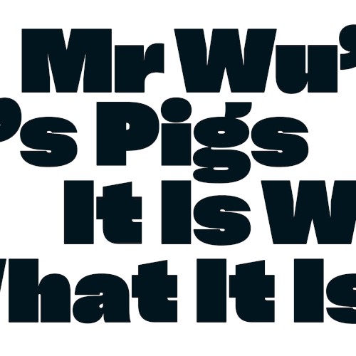 It Is What It Is by Mr Wu's Pigs