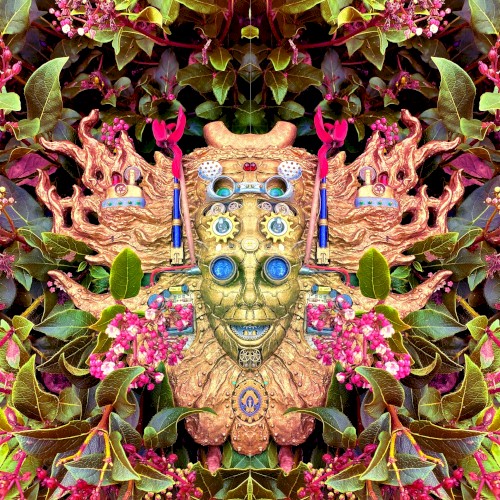 Carnival Of Peculiarities by Shpongle