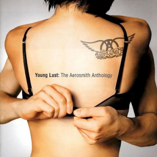 Young Lust: The Aerosmith Anthology by Aerosmith