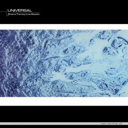 Universal vinyl record cover artwork on VinVibe