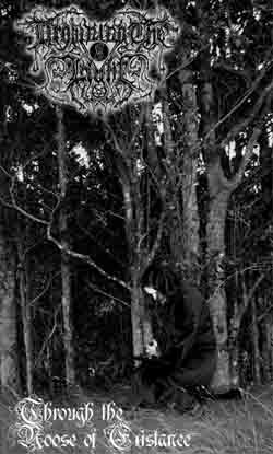 Through The Noose Of Existance by Drowning The Light