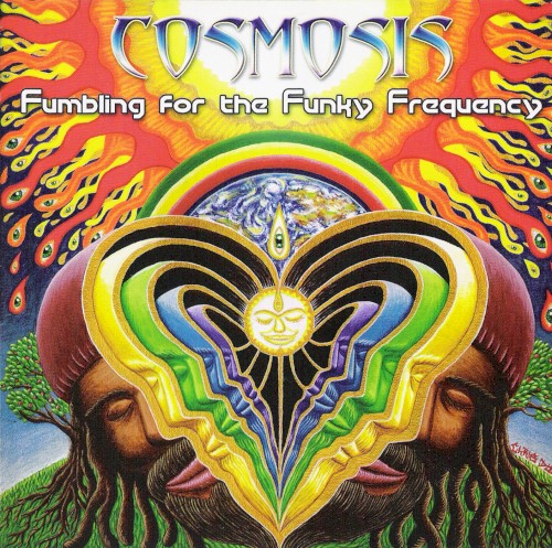 Fumbling For The Funky Frequency by Cosmosis