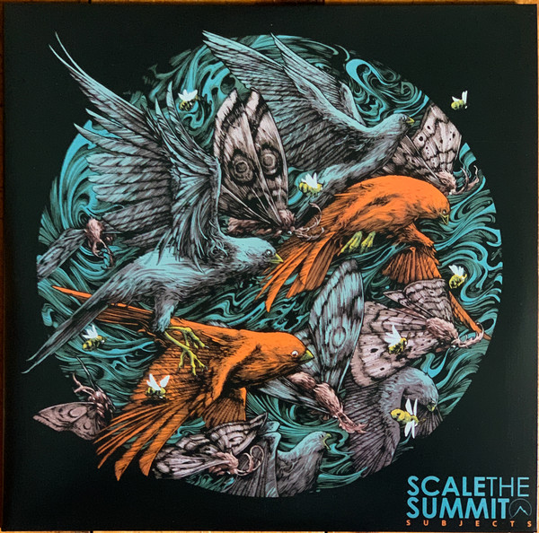 Subjects by Scale The Summit