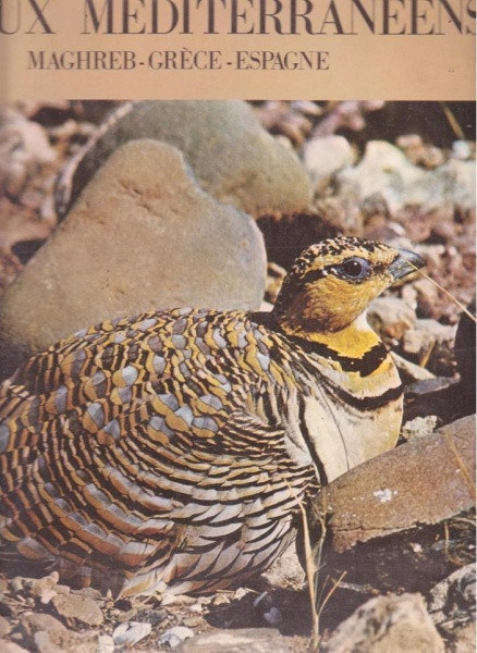 Oiseaux Méditerranéens by Jean C. Roché