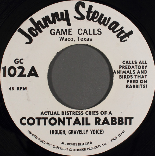Cottontail Rabbit Distress Call by No Artist