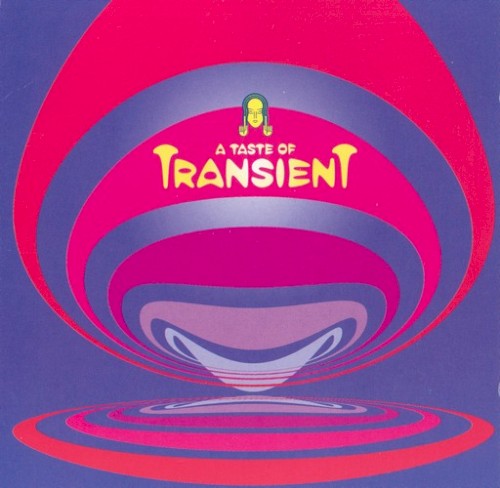 A Taste Of Transient by Various