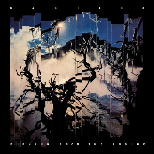 Burning From The Inside by Bauhaus