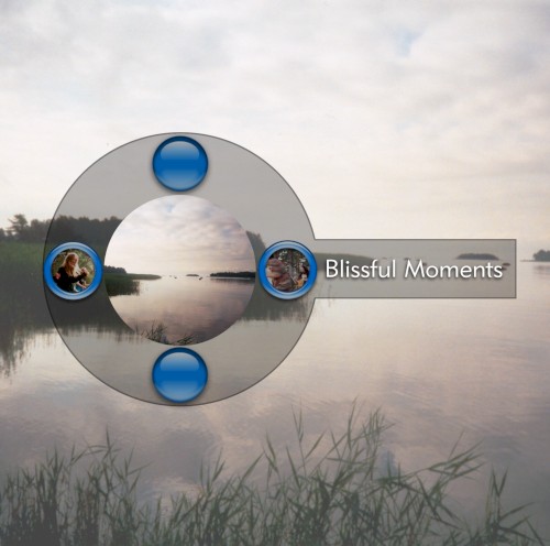 Blissful Moments by Various