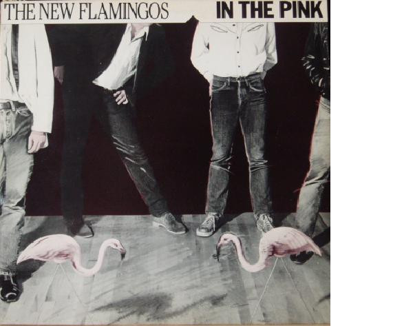 In The Pink by The New Flamingos