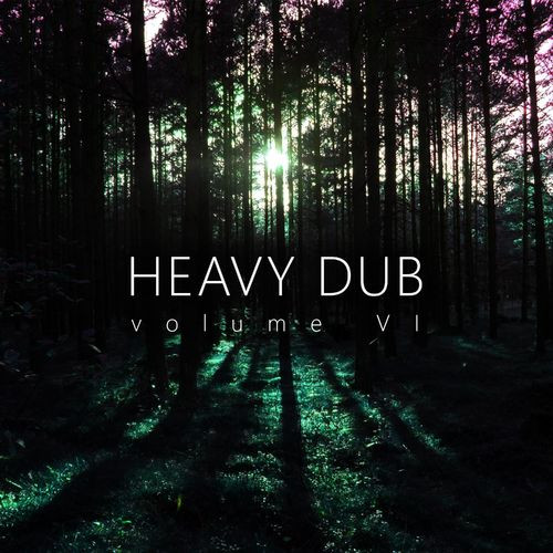 Heavy Dub - Volume VI by Various