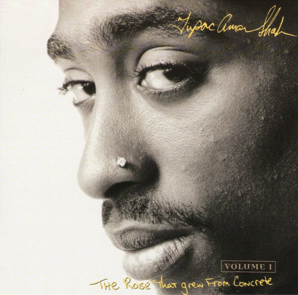Tupac Shakur vinyl record cover artwork on VinVibe