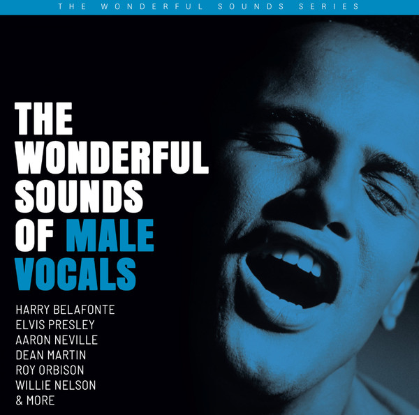 The Wonderful Sounds Of Male Vocals by Various physical vinyl pressing cover artwork on VinVibe