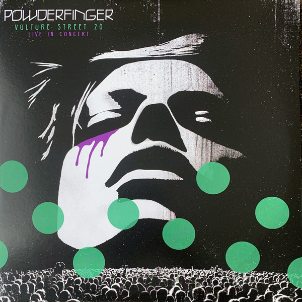 Powderfinger vinyl record cover artwork on VinVibe