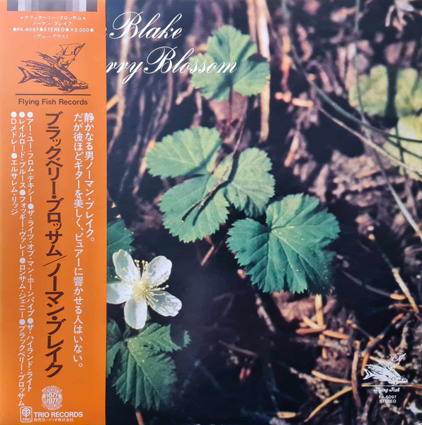 Blackberry Blossom by Norman Blake