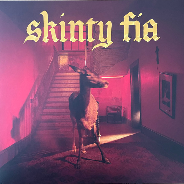 Skinty Fia by Fontaines D.C.