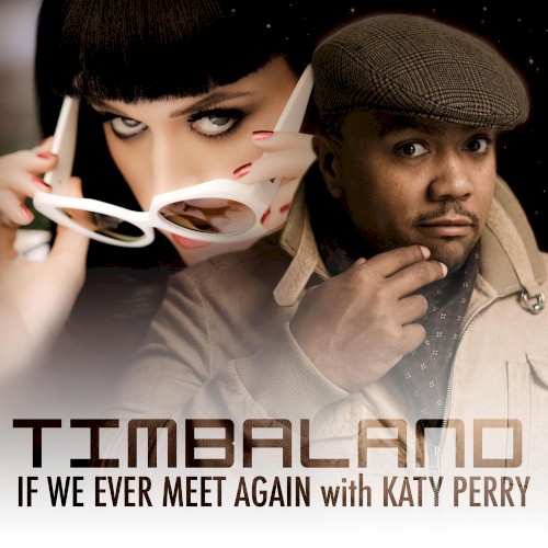 If We Ever Meet Again by Timbaland
