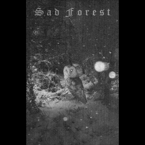 The Winter Ghost by Sad Forest