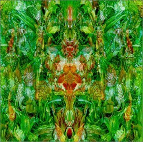 Emerald Aether: Shape Shifting by Bill Laswell