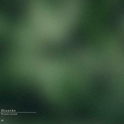 Preservation by Dianthe