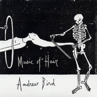 Music Of Hair by Andrew Bird