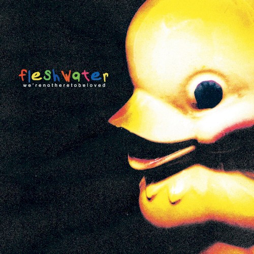 We're Not Here To Be Loved by Fleshwater