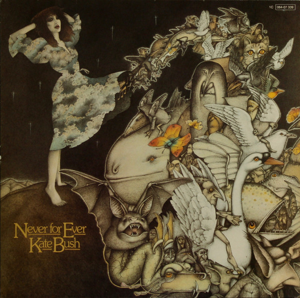 Kate Bush vinyl record cover artwork on VinVibe