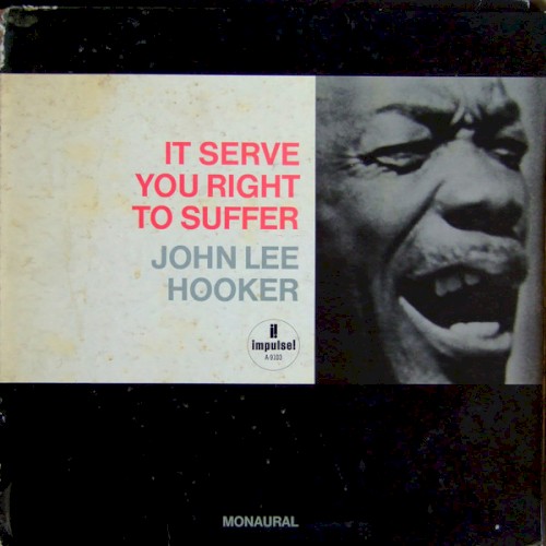 It Serve You Right To Suffer by John Lee Hooker