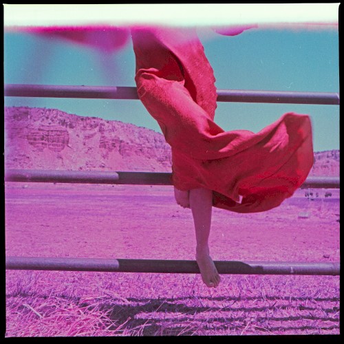 Strays II by Margo Price