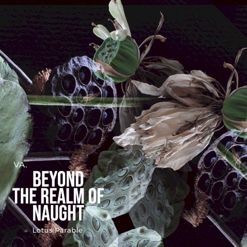 Beyond The Realm Of Naught by Various