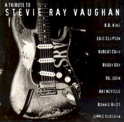 A Tribute To Stevie Ray Vaughan by Various